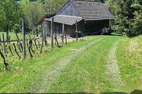Усадьба и ферма по выращиванию орехов в Бизелье: 21