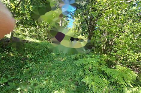 Здание в Великом Требелеве: 4