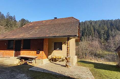 Поместье, сельскохозяйственный участок Нижняя Вижинга: 4