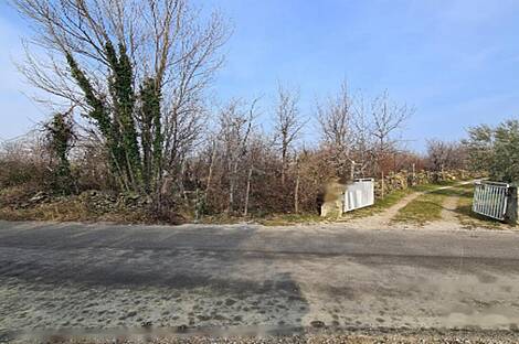 Усадьба Урбанцы, ферма Тиньянов.: 3