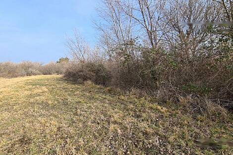 Усадьба Урбанцы, ферма Тиньянов.: 5