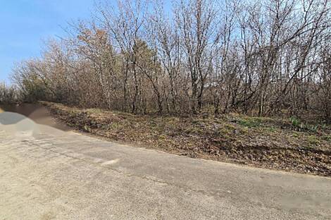 Усадьба Урбанцы, ферма Тиньянов.: 9