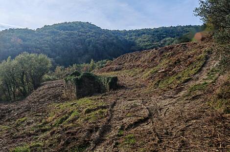 Поместье, ферма Марежиге, Ройце: 5