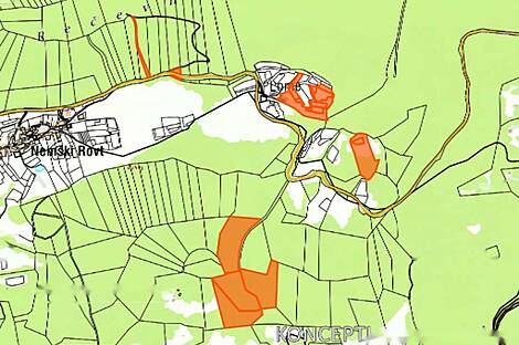 Дом, хозяйство Немецкий Ровт: 2