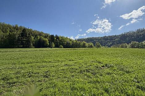 Дом, хозяйство Немецкий Ровт: 7