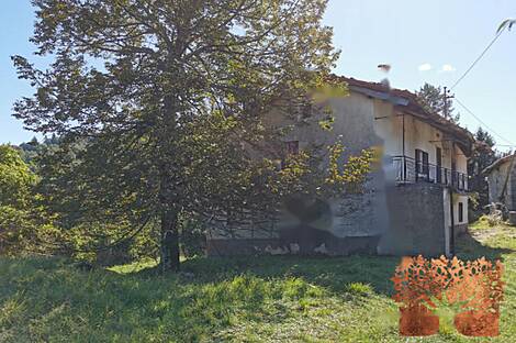 Поместье Долар на солнечной окраине плато: 8