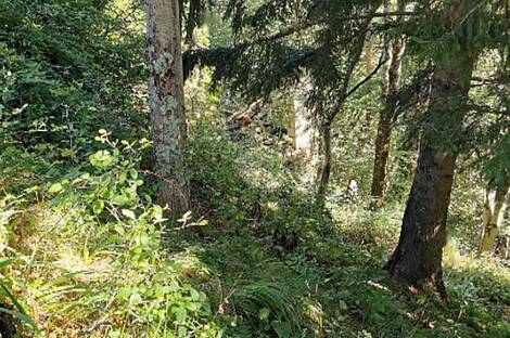 Поместье Долар на солнечной окраине плато: 10