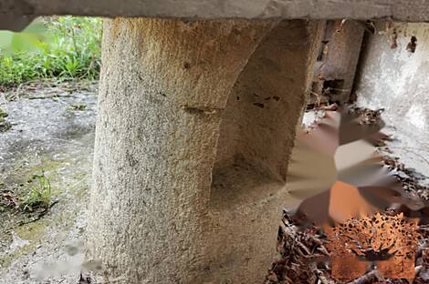 Поместье Долар на солнечной окраине плато: 16