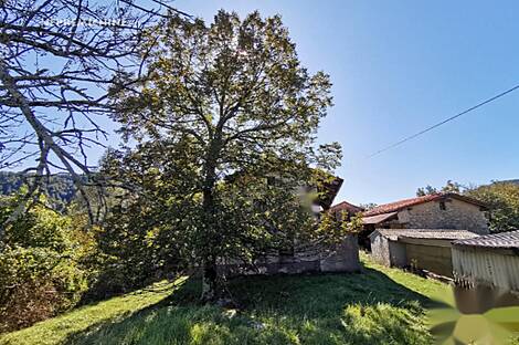 Поместье Долар на солнечной окраине плато: 18