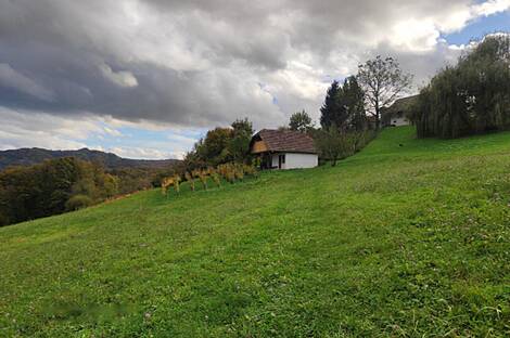 Особняк, хозяйство Каменце: 8