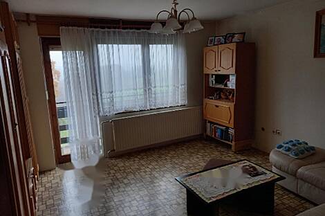 Особняк, хозяйство Каменце: 12