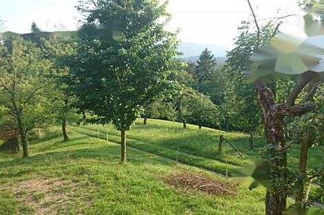 Усадьба, Имение Равне, Пристава: 7