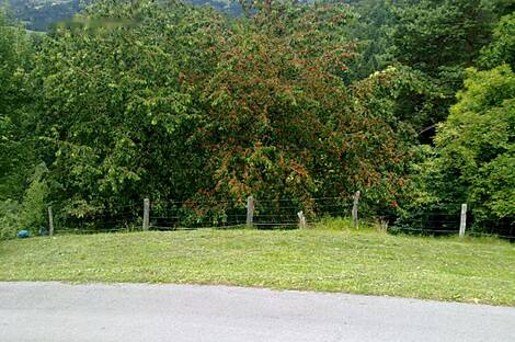 Усадьба, Имение Равне, Пристава: 11