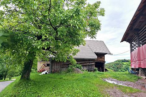 Рудная Вас, ферма Радече, усадьба.: 6