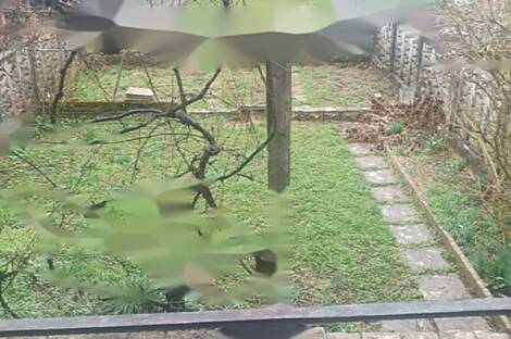 Дом Вижмарье с террасой: 1