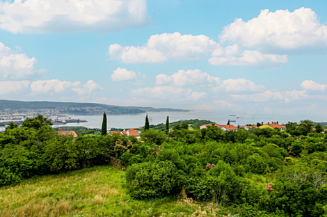 Дом, расположенный в Хрватини.: 6