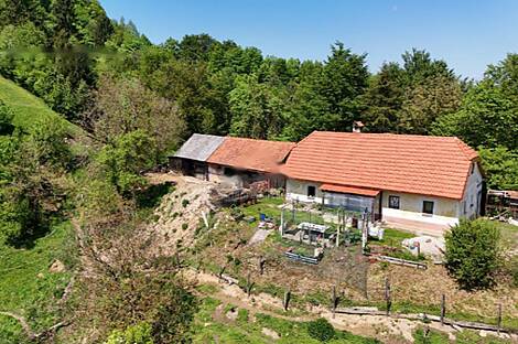 Дом, ферма Верхний Лесковец, Велика Варница: 5