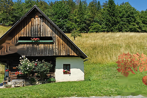 Дом Копривник, расположенный в Бохине, находится на солнечной стороне Альп.: 3