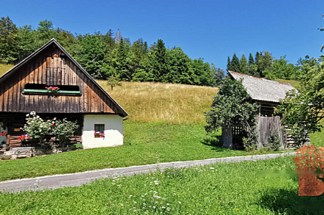 Дом Копривник, расположенный в Бохине, находится на солнечной стороне Альп.: 4