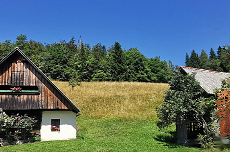 Дом Копривник, расположенный в Бохине, находится на солнечной стороне Альп.: 7