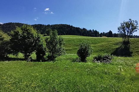Дом Копривник, расположенный в Бохине, находится на солнечной стороне Альп.: 8