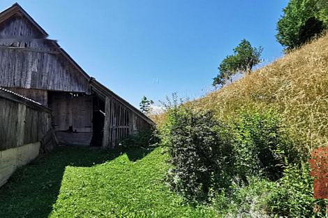 Дом Копривник, расположенный в Бохине, находится на солнечной стороне Альп.: 9
