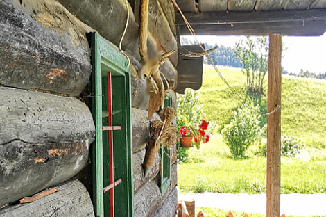Дом Копривник, расположенный в Бохине, находится на солнечной стороне Альп.: 10