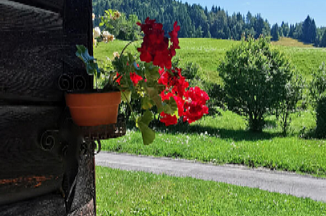 Дом Копривник, расположенный в Бохине, находится на солнечной стороне Альп.: 11