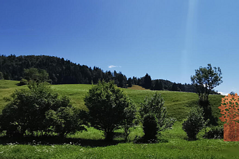 Дом Копривник, расположенный в Бохине, находится на солнечной стороне Альп.: 12