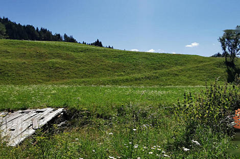 Дом Копривник, расположенный в Бохине, находится на солнечной стороне Альп.: 13