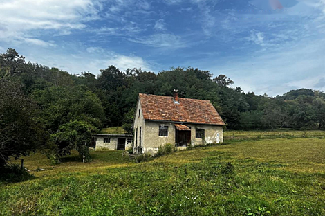 Поместье, хозяйство наверху земли: 1