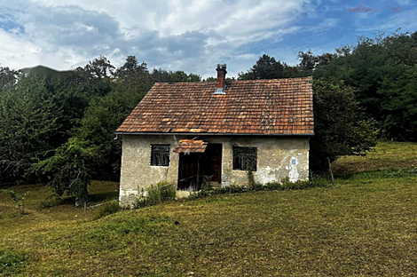 Поместье, хозяйство наверху земли: 4