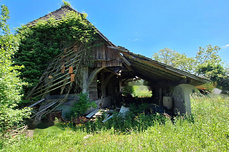 Усадьба, хозяйство Забуковье.: 7