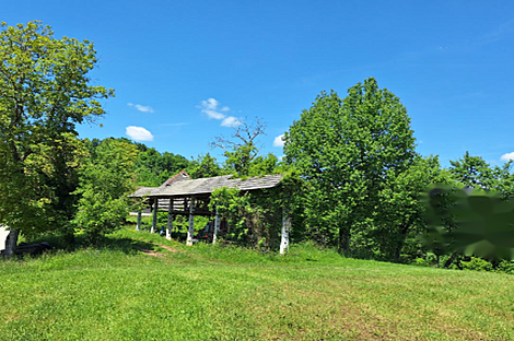 Усадьба, хозяйство Забуковье.: 10