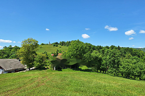 Усадьба, хозяйство Забуковье.: 11