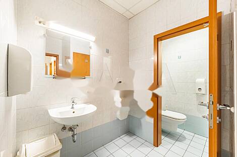 Шишка - коммерческое пространство.: 8