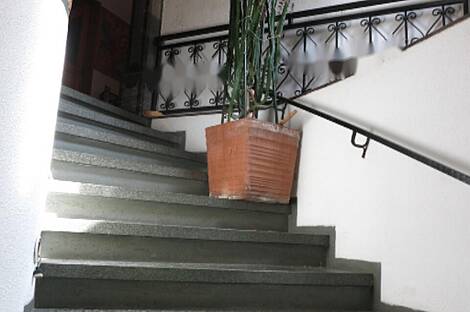 Торговая площадь Шишка: 9