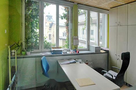 Квартира для офиса в Шентвиде: 1