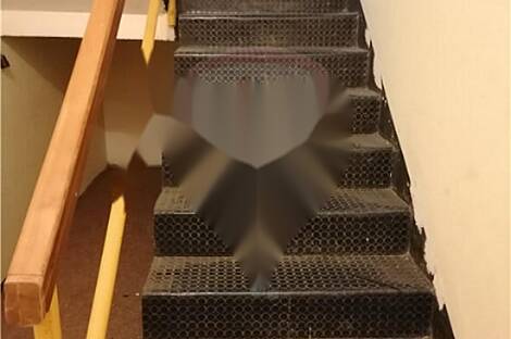 Коммерческое помещение Шишка: 19