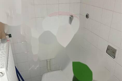 Коммерческое помещение Шишка: 20