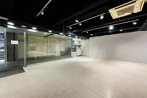 Совмещённая квартира в центре Любляны: 8