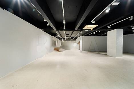 Совмещённая квартира в центре Любляны: 9