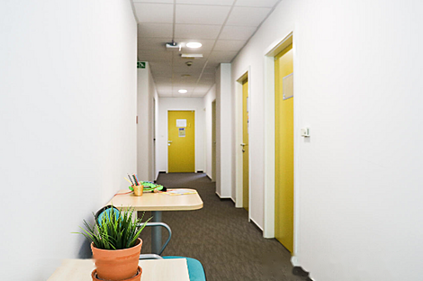 Квартира в центральной части города используемая для коммерческих целей: 6