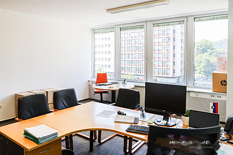 Квартира в центральной части города используемая для коммерческих целей: 13