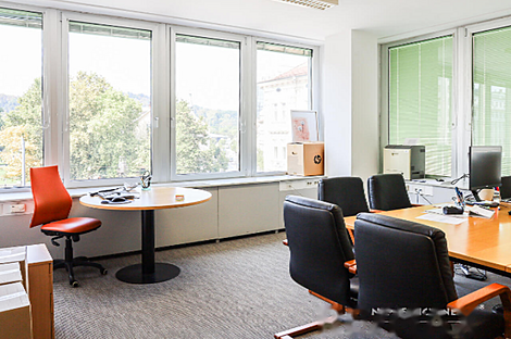 Квартира в центральной части города используемая для коммерческих целей: 14