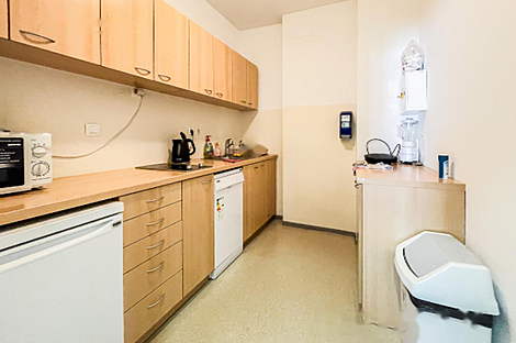 Квартира в центральной части города используемая для коммерческих целей: 21