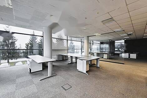 Помещение для офиса Шишка: 1