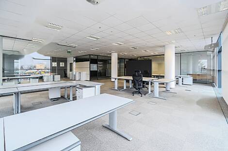 Квартира 'Шишка': 6