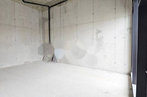 Торговая площадь Шишка: 1