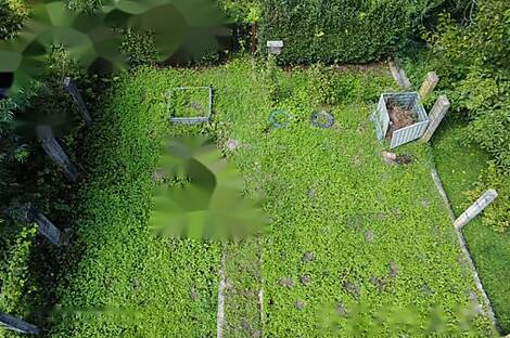 Трновский дом.: 13